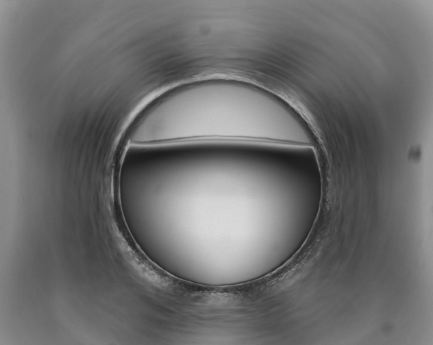 X0000090870984200707270951