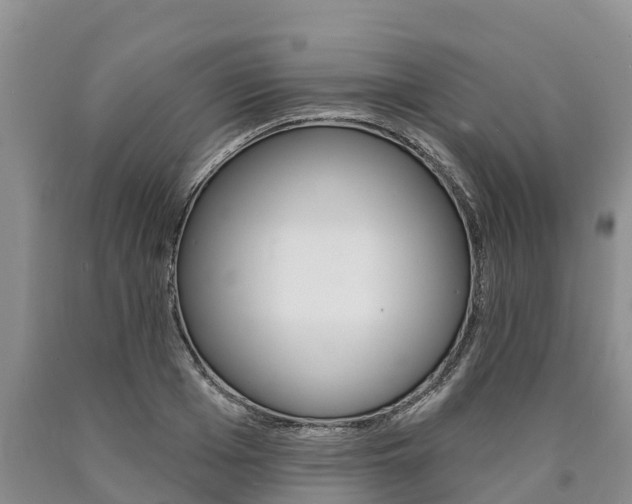 X0000090870985200707270951
