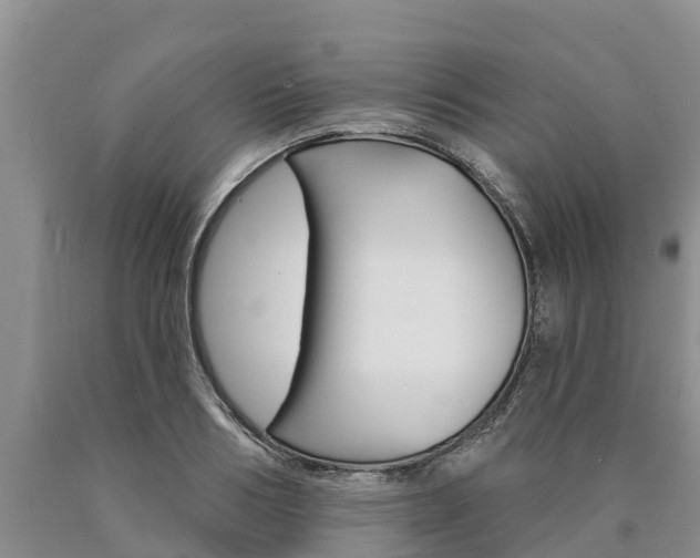 X0000090870986200707270951