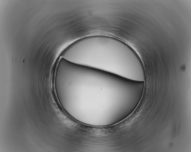 X0000090870987200707270951