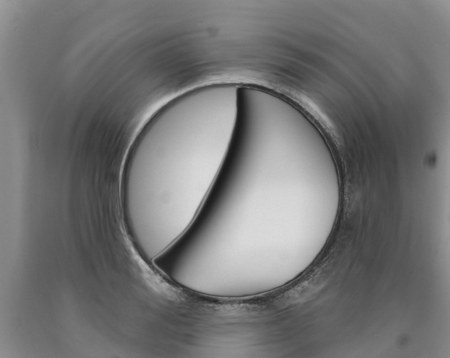 X0000090870988200707270951