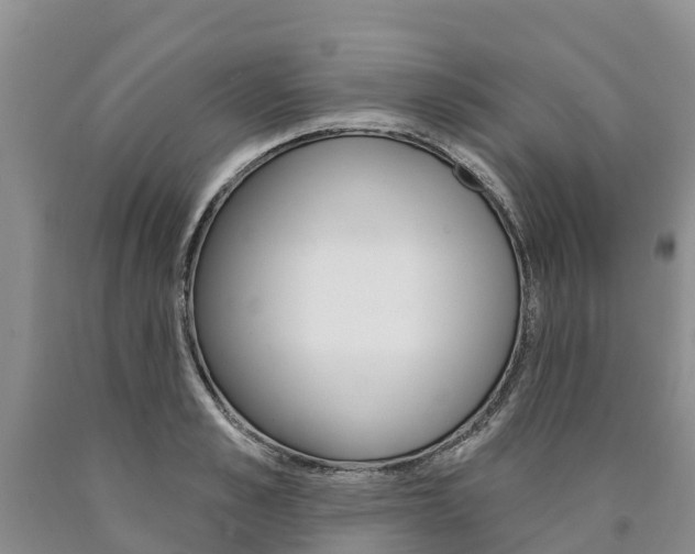 X0000090870989200707270951