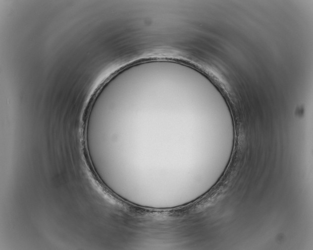 X0000090870990200707270951