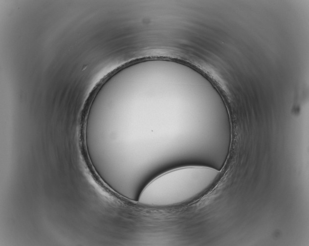 X0000090870991200707270951