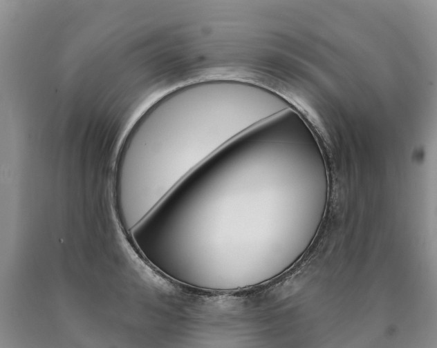 X0000090870992200707270951