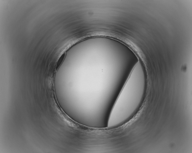 X0000090870993200707270951