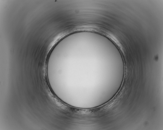 X0000090870994200707270951