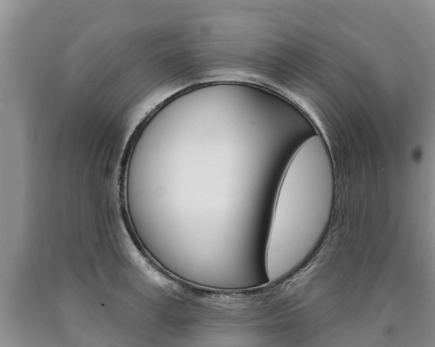 X0000090870995200707270951