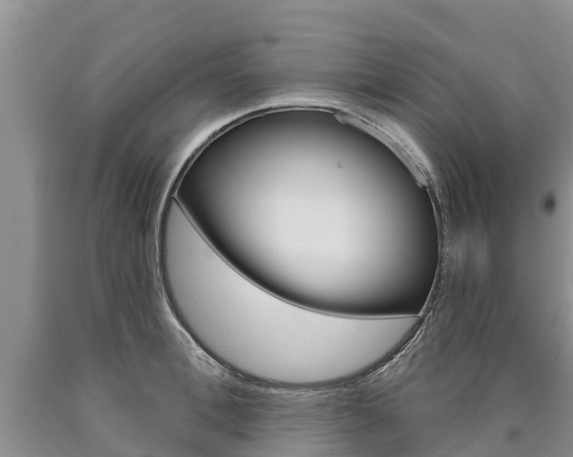 X0000090870996200707270951