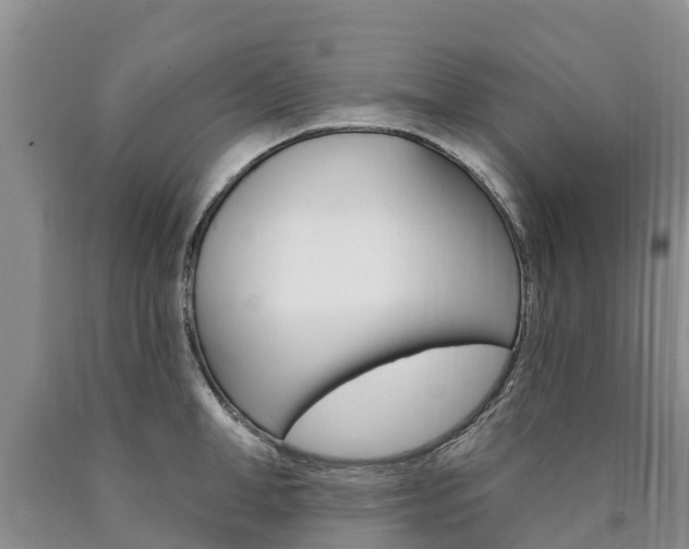 X0000090870998200707270951