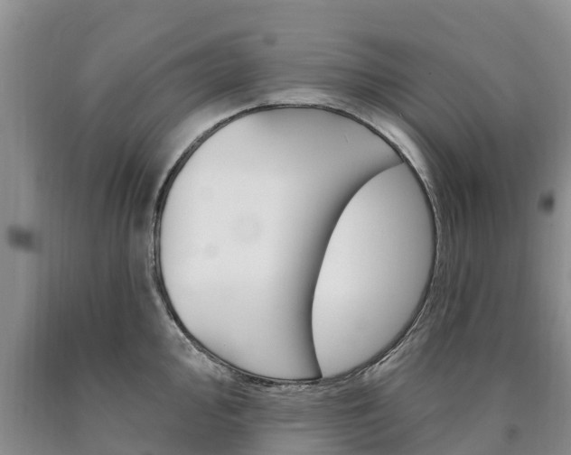 X0000090871000200707270951
