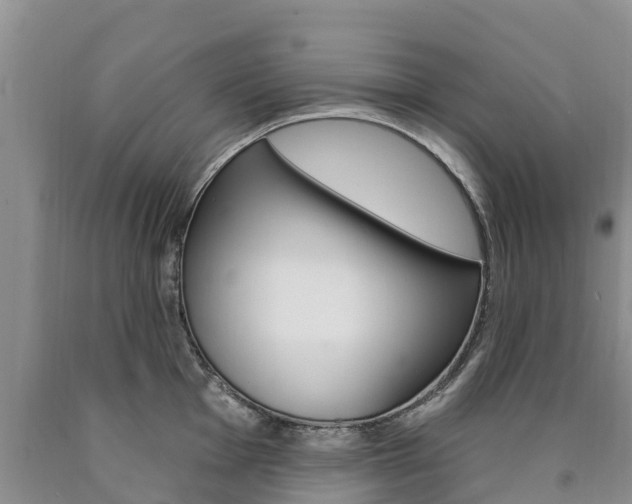 X0000090871001200707270951