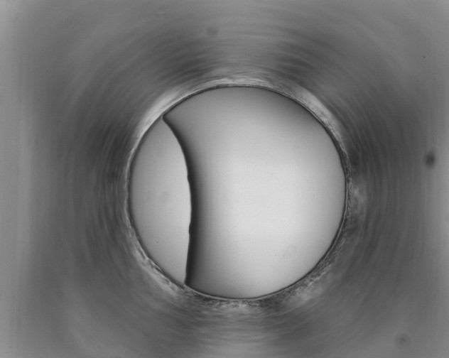 X0000090871002200707270951
