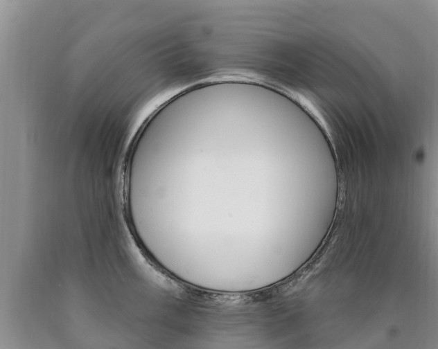 X0000090871003200707270951