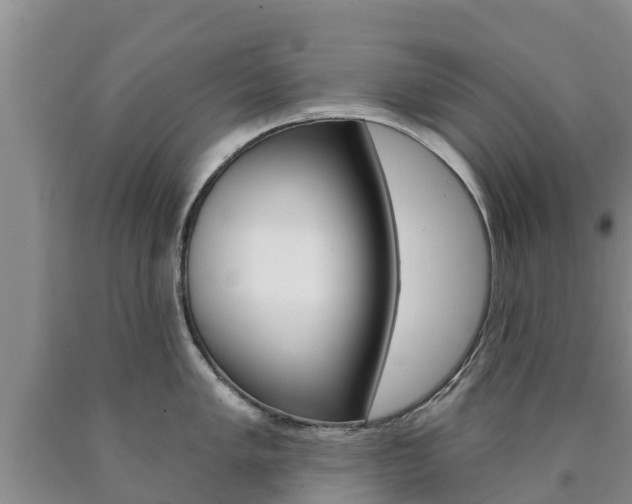 X0000090871005200707270951