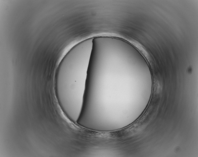 X0000090871006200707270951