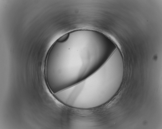 X0000090871007200707270951