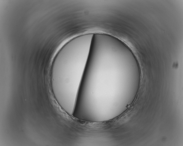 X0000090871008200707270951