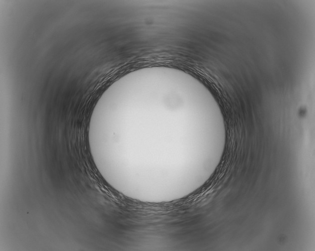X0000090871010200707270950