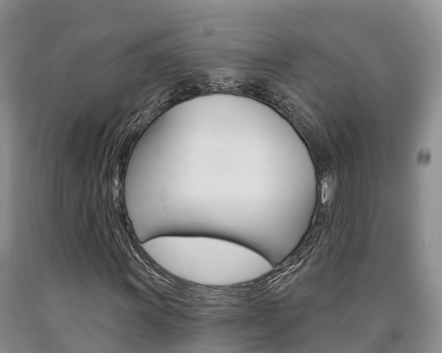 X0000090871011200707270950