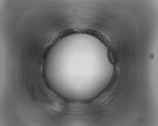 X0000090871012200707270950
