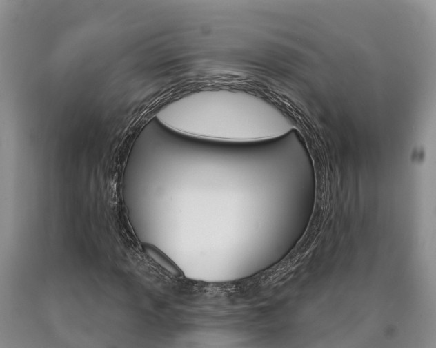 X0000090871013200707270950