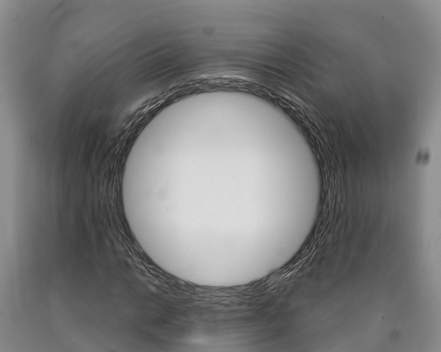 X0000090871014200707270950