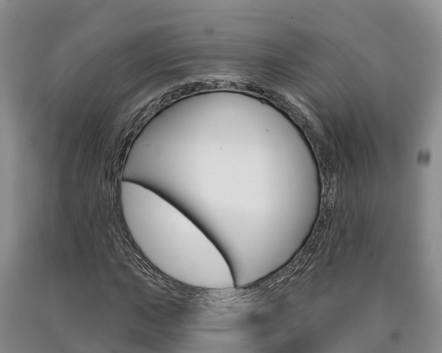 X0000090871015200707270950