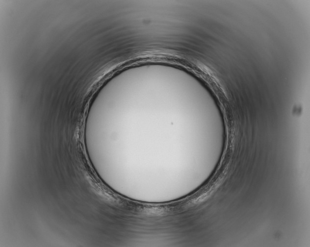 X0000090871017200707270950