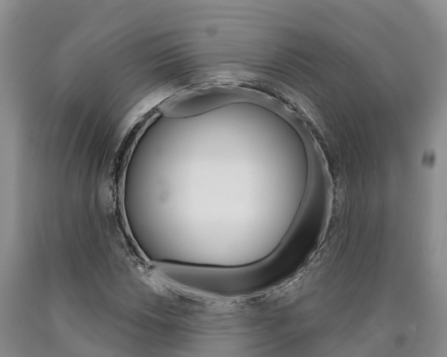 X0000090871018200707270950