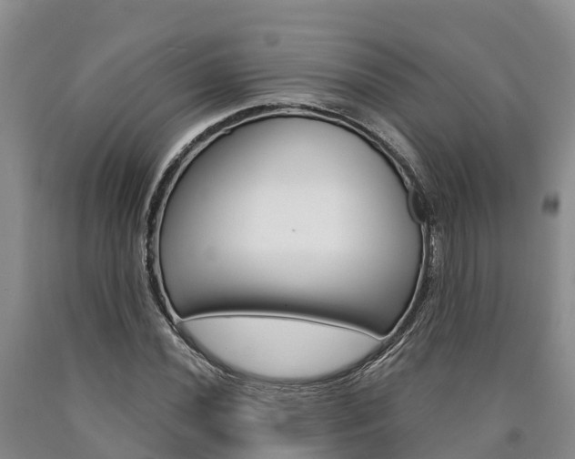 X0000090871020200707270950