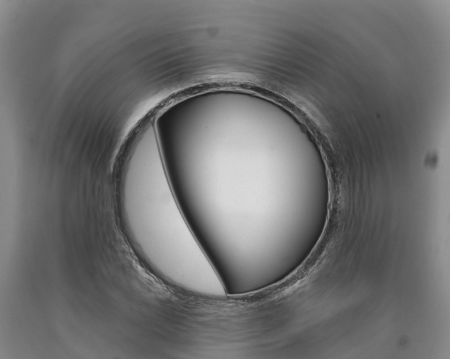 X0000090871022200707270950