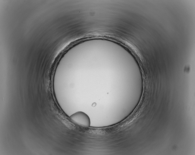 X0000090871023200707270950