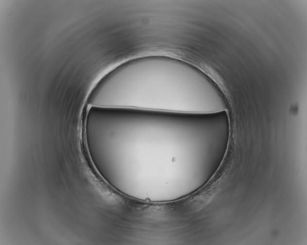 X0000090871028200707270950