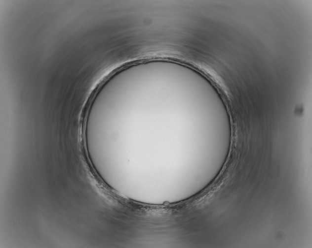 X0000090871031200707270950