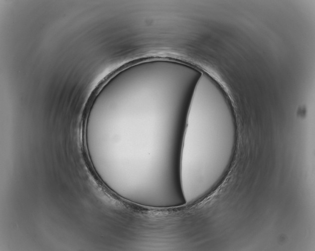 X0000090871032200707270950