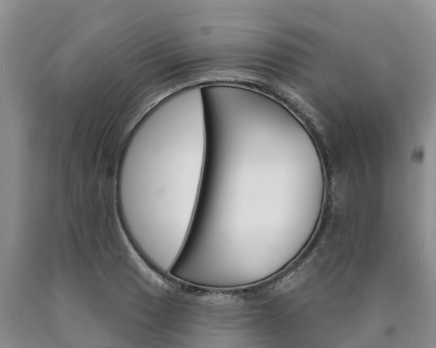 X0000090871033200707270950