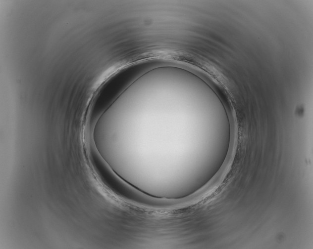 X0000090871034200707270950