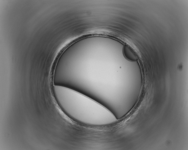X0000090871037200707270950