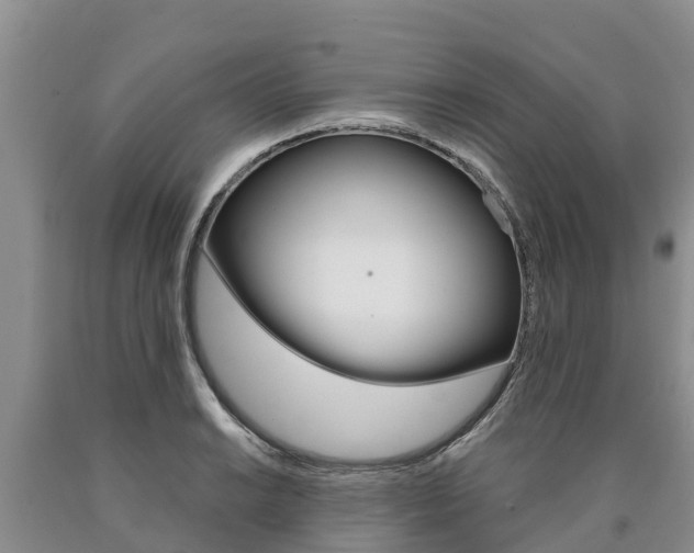 X0000090871038200707270950
