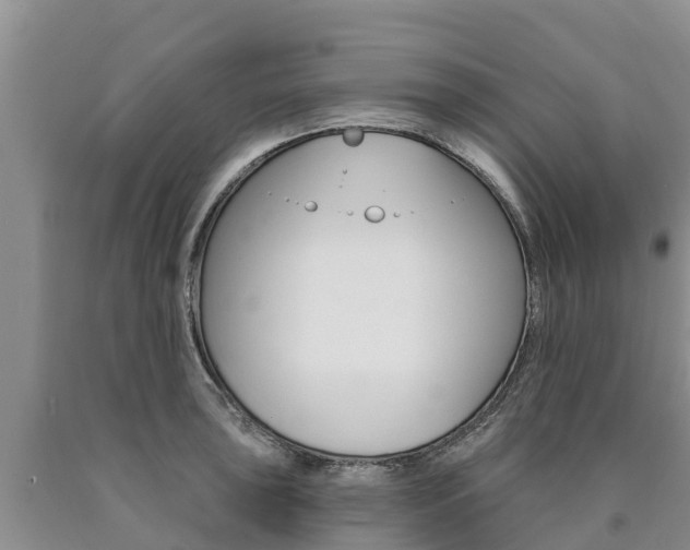 X0000090871043200707270950