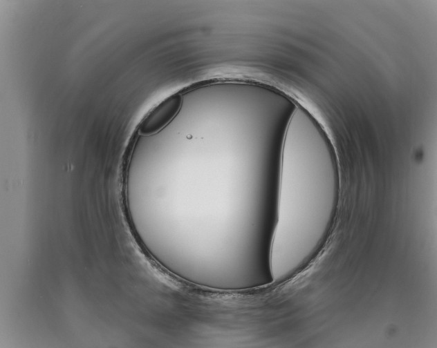 X0000090871045200707270951