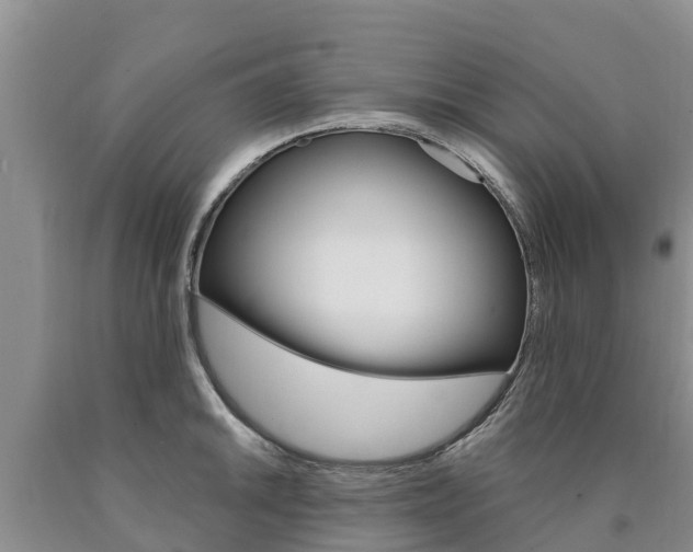 X0000090871046200707270951
