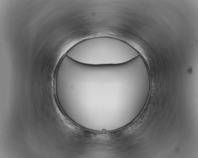 X0000090871047200707270951