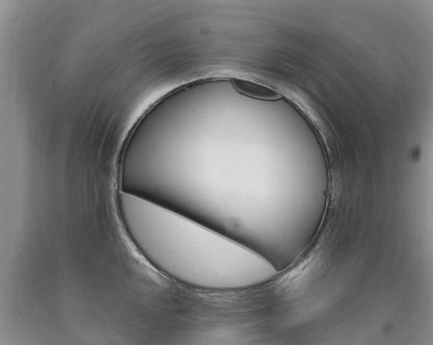 X0000090871048200707270951