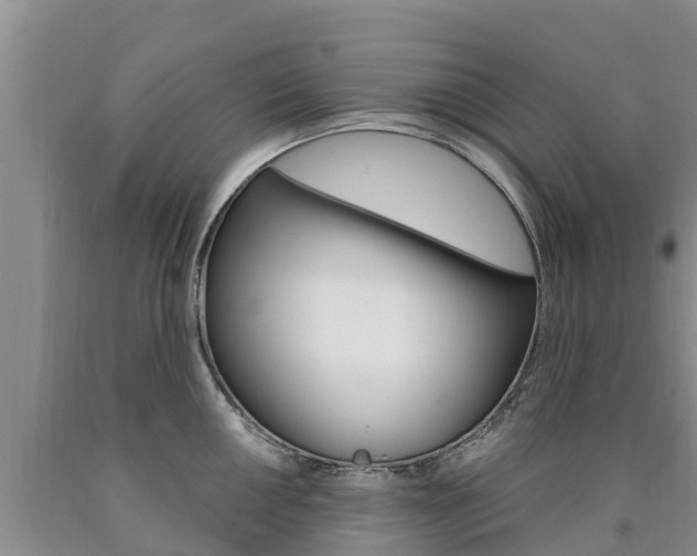 X0000090871050200707270951