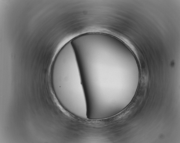 X0000090871053200707270951