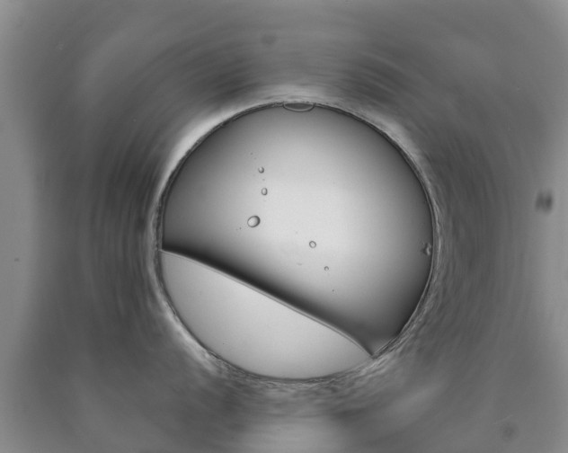 X0000090871056200707270951