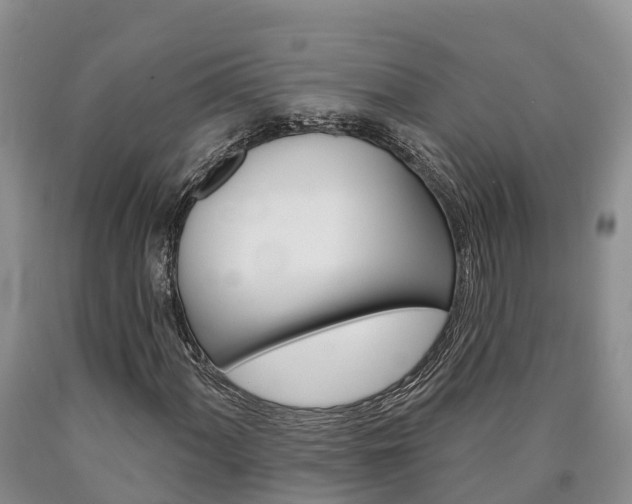 X0000090871060200707270950