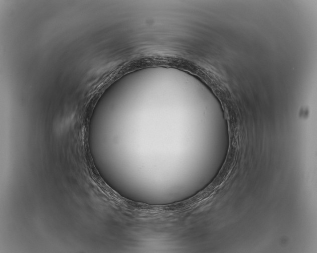 X0000090871061200707270950